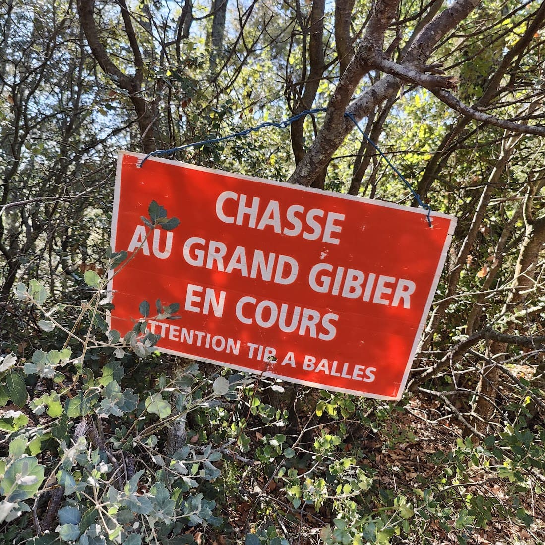 Panneau de chasse au grand gibier en cours à Jouques
