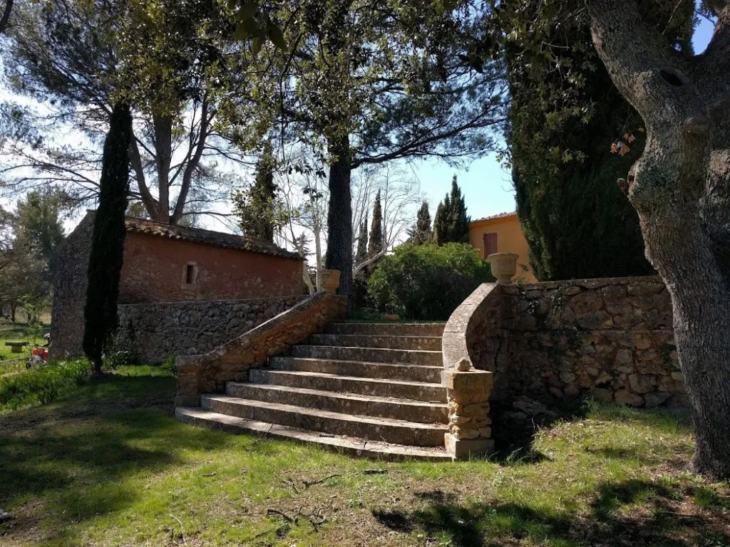 Vue du grand escalier d’accès à la terrasse, 2018.