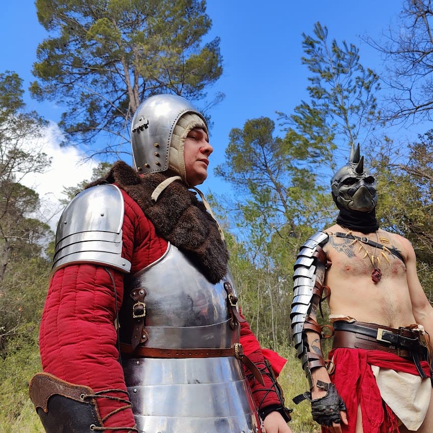 Combat épique dans la pinède - Chevaliers en armure complète