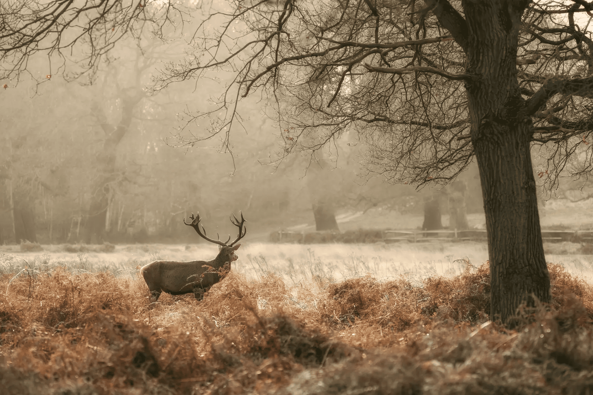 Comment-interdire-la-chasse-sur-son-terrain.png